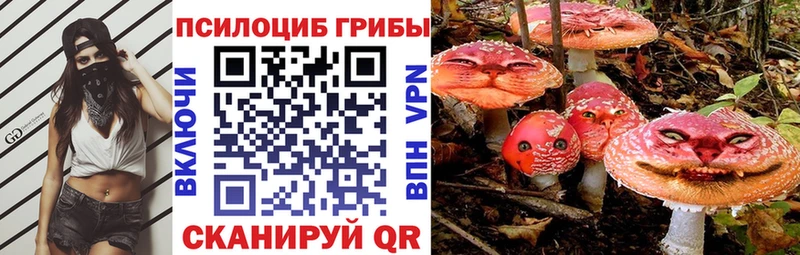 Псилоцибиновые грибы Psilocybe  Ржев 